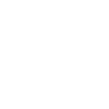 LOGO VICALE 1